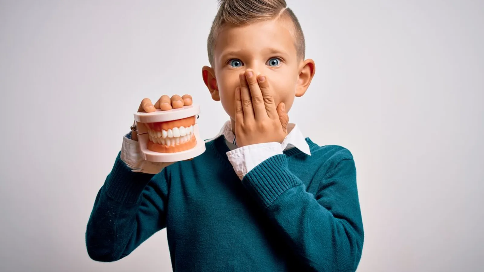 Jeune garçon tenant un modèle de mâchoire dentaire, une main devant la bouche